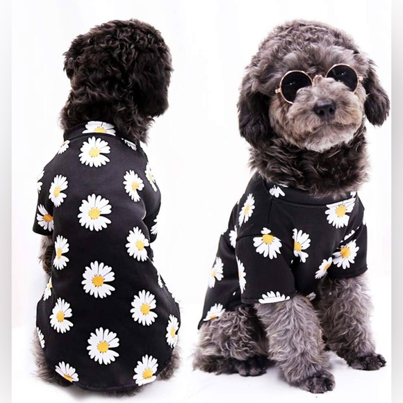 weyato Other - WEYATO daisy dog/cat shirt..(NWT)black